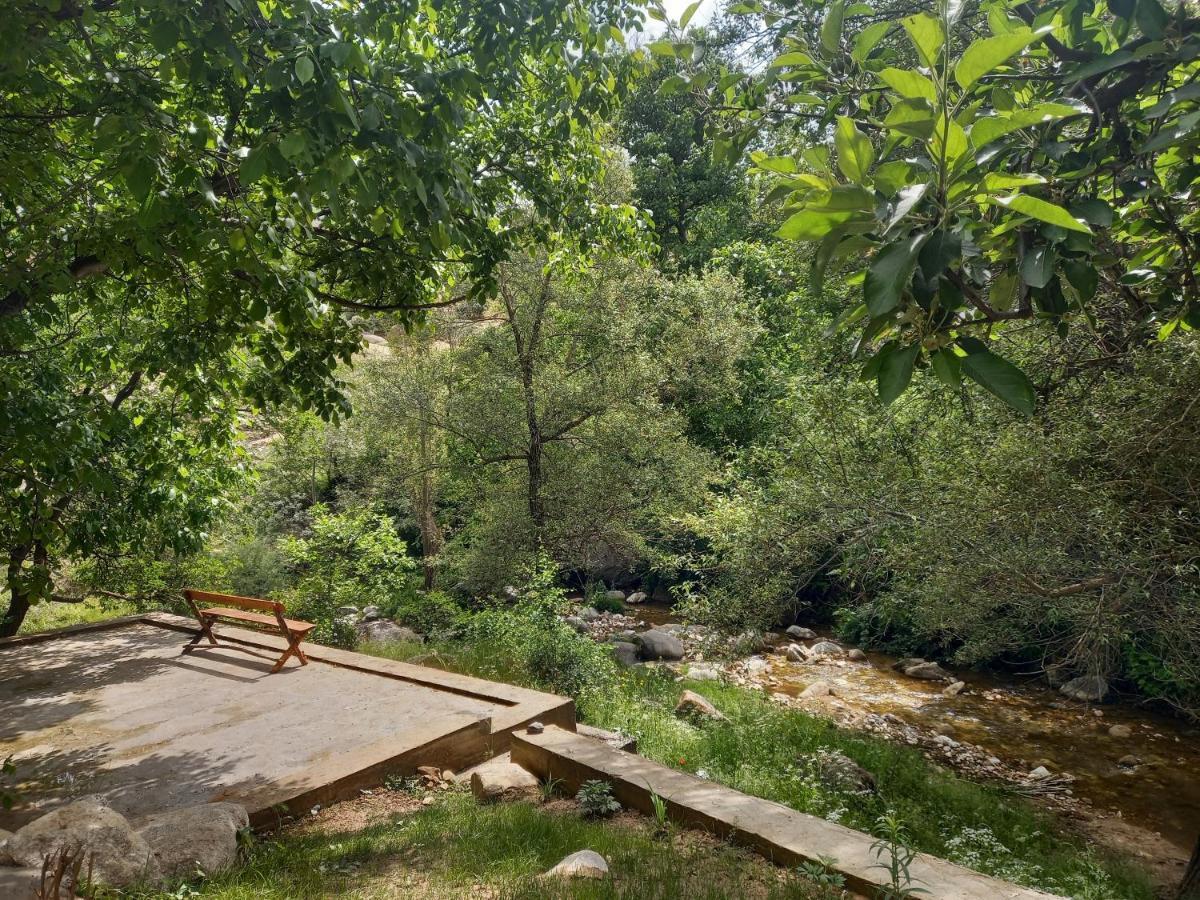 Forest Guest House Mirzakishlak Exterior photo