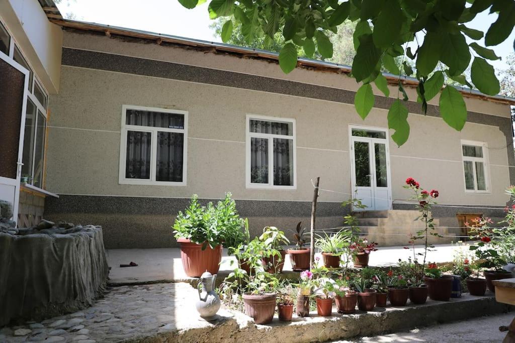 Forest Guest House Mirzakishlak Exterior photo